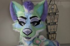 Artistic Liberty Husky