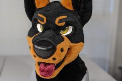 Doberman  - 2020